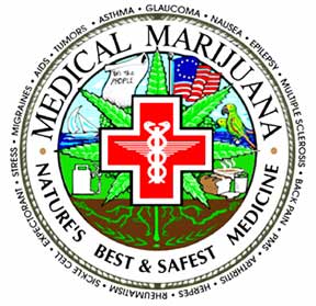 Cannabis Medicinal: Não lemos e não-gostamos?