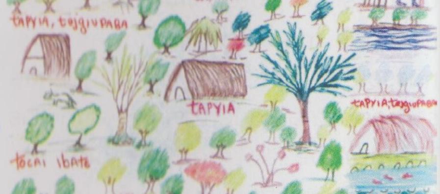 detalhe desenho da Aldeia Tukum