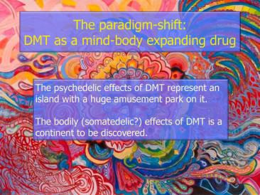 DMT entre a vida e morte