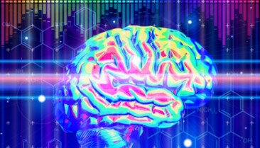 Efeitos bifásicos da Ayahuasca